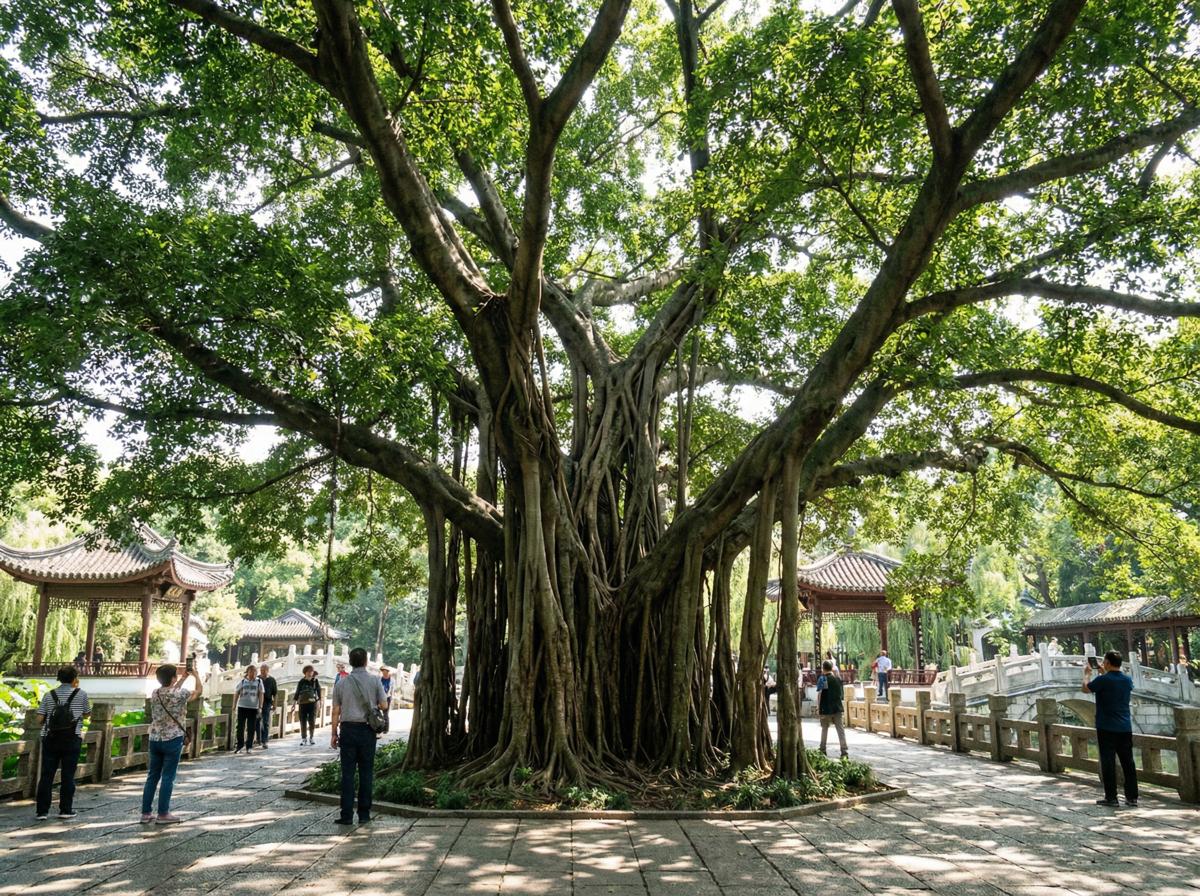福利姬社区顾问王雅琴